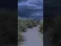 #4k #nature #walking #derry #naturewalk #4kwalk #summer #sunrise #ambientwalk #forest #asmr