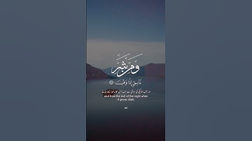 سورة الفلق مشاري العفاسي #quran #قرآن #قران_كريم #القرآن_الكريم #راحة_نفسية