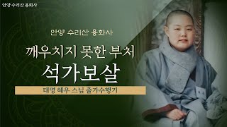 태명혜우 출가수행기 석가모니부처님 불상은 부처가 아니다 점안도 안되어 있어 가피도 없다