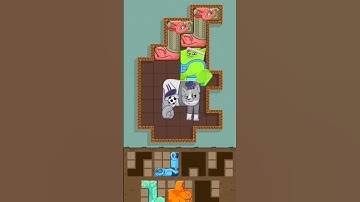 Puzzle Cats - Gameplay Walkthrough (iOS, Android) #shorts #funny #games #short