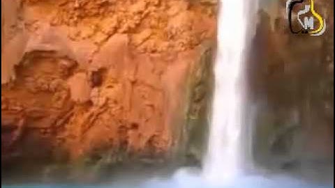 تلاوة رائعة الشيخ فارس عباد سورة القمر || beautiful quran reaction