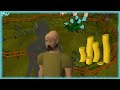 The dumbest bot in runescape history