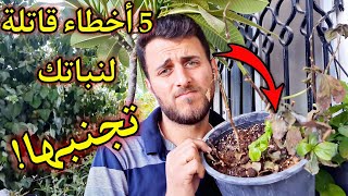 5 أخطاء فادحة لو تجنبتها .. لن تخسر أي نبات بعد اليوم ! (بإذن الله) 🪴