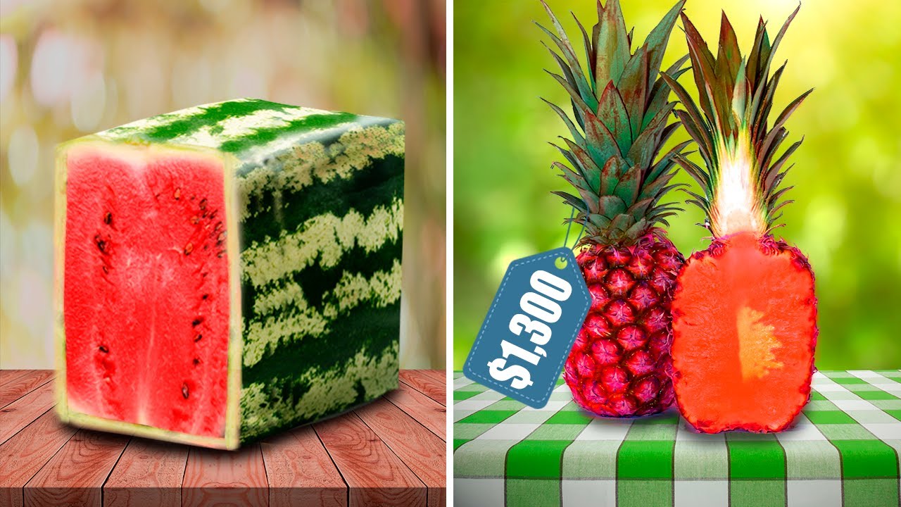Top 13 Most EXPENSIVE Fruits In The World! YouTube