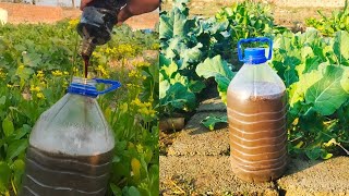 Organic Liquid Fertilizer in 24 Hours | No Chemicals Needed