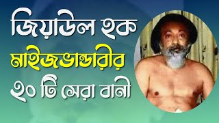 জিয়াউল হক মাইজভান্ডারীর ২০টি বানী Baba Bhandari Jindabad | বাবা ভান্ডারী জিন্দাবাদ