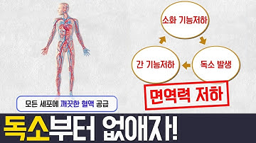 [Balance Of Life] 독소 배출하는 방법 공개! l 나는 몸신이다