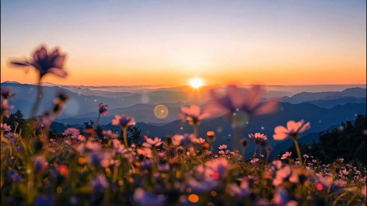 Sacred Celtic Music with Women’s Voices 🍃 Stress Relief & Serenity