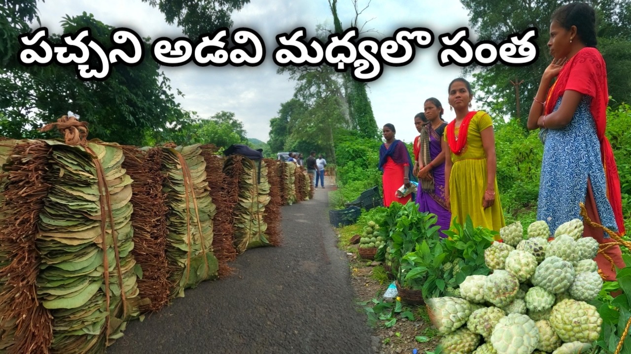 Tribal market custard apple  ఆదివాసుల సంత ఈ సంతలో సీతాఫలం చాలా ప్రత్యేకత