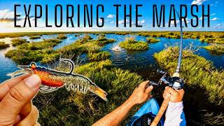 2 Days Sight Fishing in Florida Salt Marsh! screenshot 5