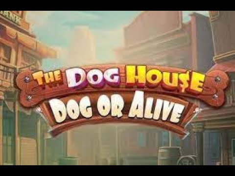 Видео: Max Win 10 000x в новых The Dog House   Dog or Alive