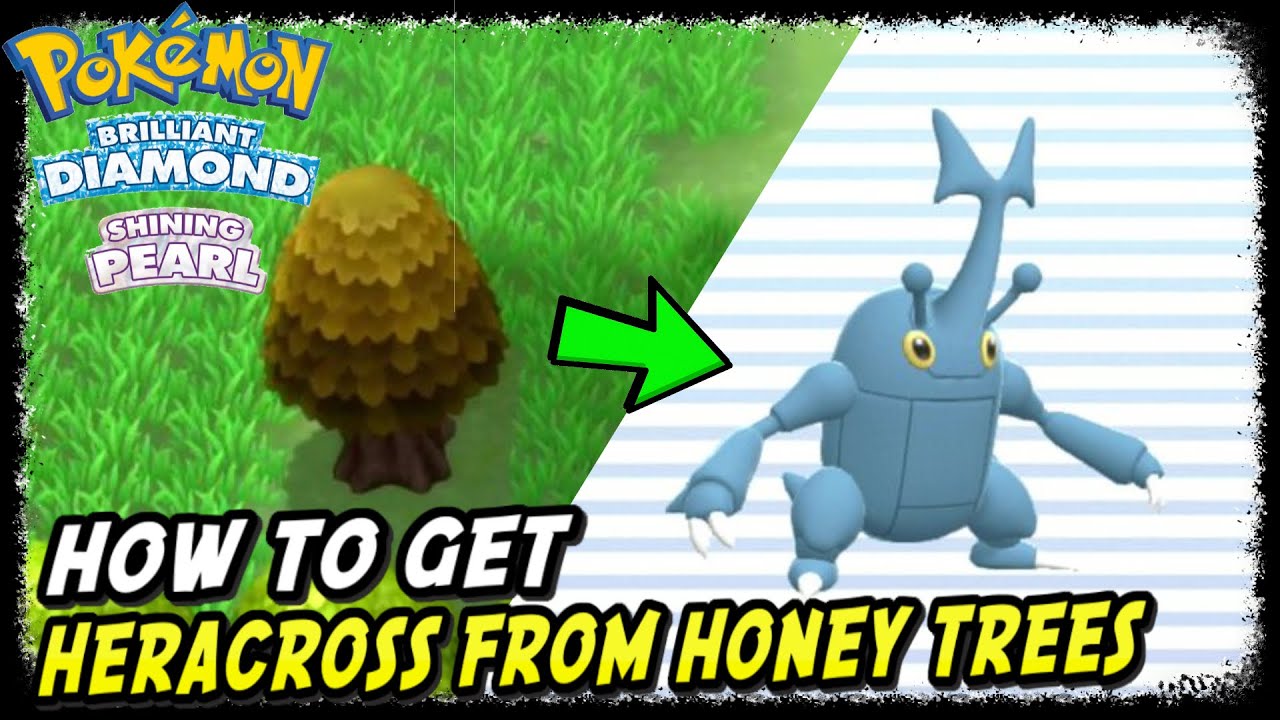How To Get Heracross Pokemon From Honey Trees In Pokemon Brilliant Diamond Shining Pearl Youtube
