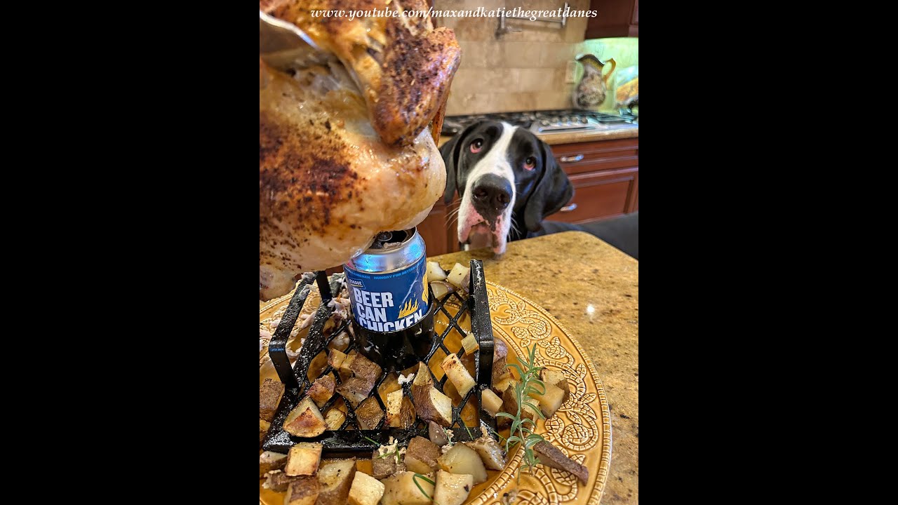 Great Dane Enjoys Carving & Tasting New Perdue Beer Can Chicken Beer
