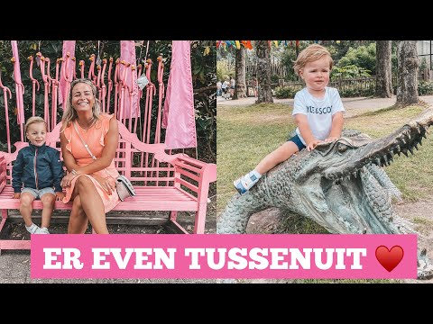 OUWEHANDS DIERENPARK RHENEN ???? | VLOG #63 | Rosanne van Hemert