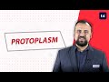 البروتوبلازم التعريف المخططات المكونات الخصائص والوظائف علم الأحياء