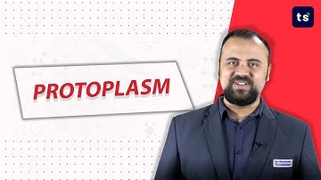 Protoplasm | Definition, Diagrams, Components, Properties and Functions | Biology