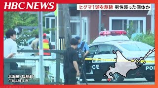 北海道又現巨熊被獵殺　咬死送報員棕熊尚未捕獲