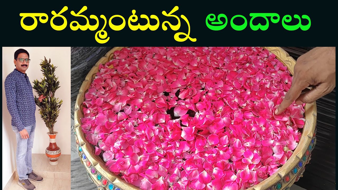 Shalini'z decors in Guntur Women's Special home decor items YouTube