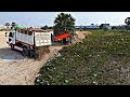 Nicely Operation Work!!  5Ton Truck Unloading Stones With bulldozer D31p Komatsu Push soil in Water.