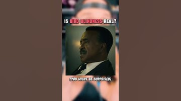 Is BIRD BLINDNESS Real? (You Might Be Surprised!)