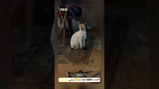                                            سمعها