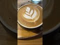 Latte art in auckland