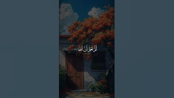 #المنشاوي_قارئ_القلوب #سورة_البقرة 📻#قران_كريم#quran_alkarim