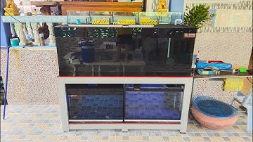 Arm สมุทรสงคราม 2 : งาน O4FS ตู้ปลา 72" กรองบน + 36" กรองมุม/กรองข้าง + Upgrade บ่อเลี้ยงปลา Set 1