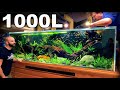 HUGE School Of Fish Added: 1000L 8ft South East Asian Aquarium [FINALE]