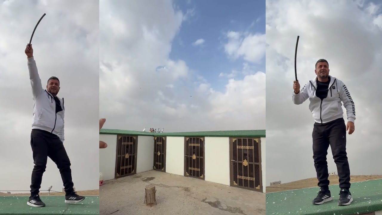 طيران حمام خشنة على كيف كيفكم | منظر يريح النف