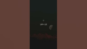 ثُمَّ مَا أَدْرَاكَ مَا يَوْمُ الدِّينِ تلاوة خاشعة جميلة بصوت#القرآن_الكريم #راحة_نفسية #اطمئن