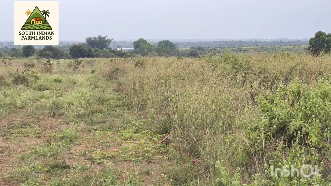 8 Acres of farmland for sale near Yediyur @₹ 44L/Acre Negotiable, ping on 8152943766 for more info