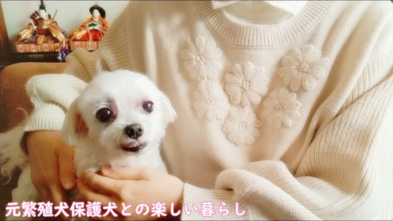 Отдых в ожидании весны🎎 Домашние закуски🍡 Повседневная жизнь араканской домохозяйки и бывшей заво...