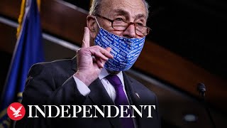 Schumer accuses Senate Republicans of ‘temper tantrum’ over election results