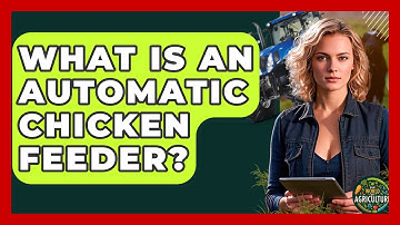 What Is An Automatic Chicken Feeder? - The World of Agriculture