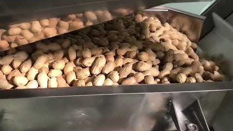 Peanut Precleaning Process