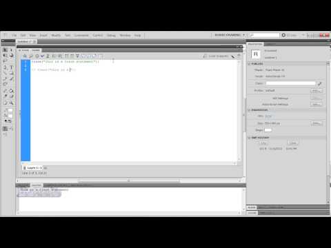 Flash CS4/CS5 ActionScript Tutorial: Comments