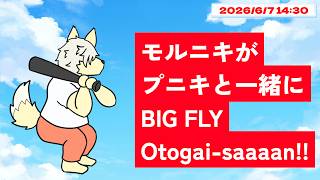 【ちょっとだけ】モルニキがプニキと一緒に BIG FLY Otogai-saaaan!! 2026/06/07【乙凱モルフィ】