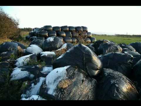 Connie Collins - The Machinery Song