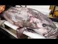 食べたら下痢が止まらなくなる巨大魚を爆食いしてみたら 食べたら下痢が止まらなくなる巨大魚を爆食いしてみたら