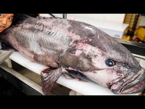 食べたら下痢が止まらなくなる巨大魚を爆食いしてみたら。。。
