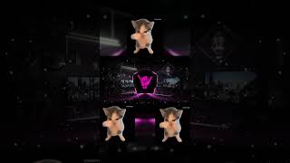 DJ KICAU KICAU KICAU MANIA SLOW VIRAL TIKTOK TERBARU 2026 DJ KICAU KICAU KICAU MANIA SLOW VIRAL TIKTOK TERBARU 2026