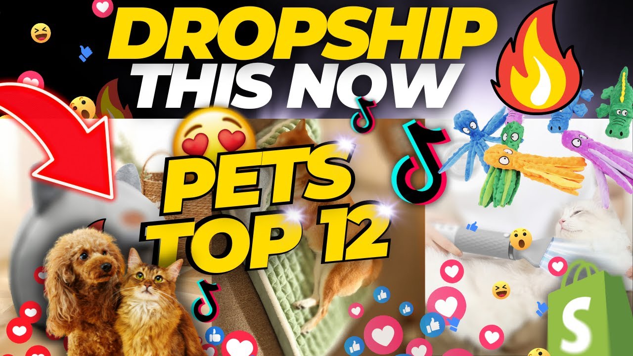 Top 12 Winning Products To Dropship RIGHT NOW 2023 PETS NICHE YouTube