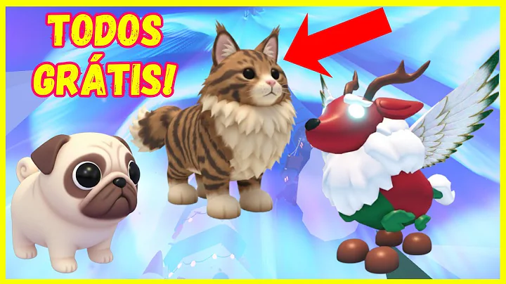 Video 11859661: maine coon cat