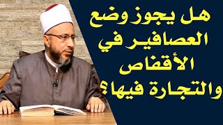 هل يجوز وضع العصافير في الأقفاص والتجارة فيها؟ وما حكم حبس الحيوانات ؟ أ.د محمد سيد سلطان