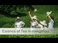 Longjing Tea (Dragon Well) ceremony experience in Hangzhou, China