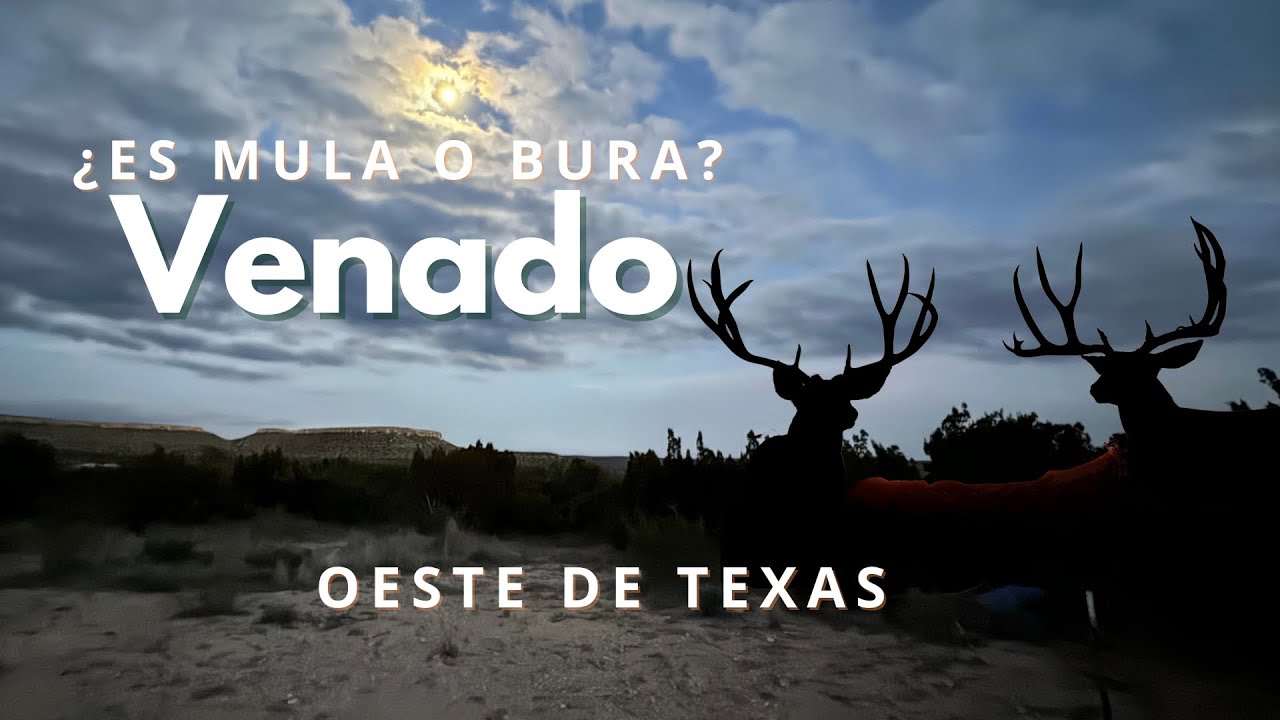 Acción de Gracias con Cuernos 2023 Venados, Vatos, y Aventuras;