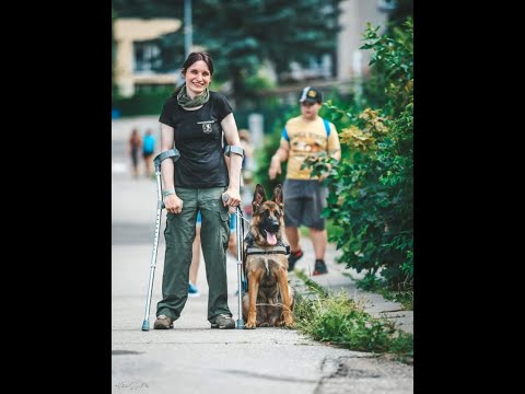 Video: Kaip Apsisaugoti Nuo šunų Išpuolių