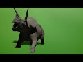 Green screen -Triceratops HD
