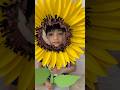 DIY- Flower Mask🌻 🎭 | Easy Craft ideas | Paper Sunflower mask | Face Mask for Kids#shortvideo